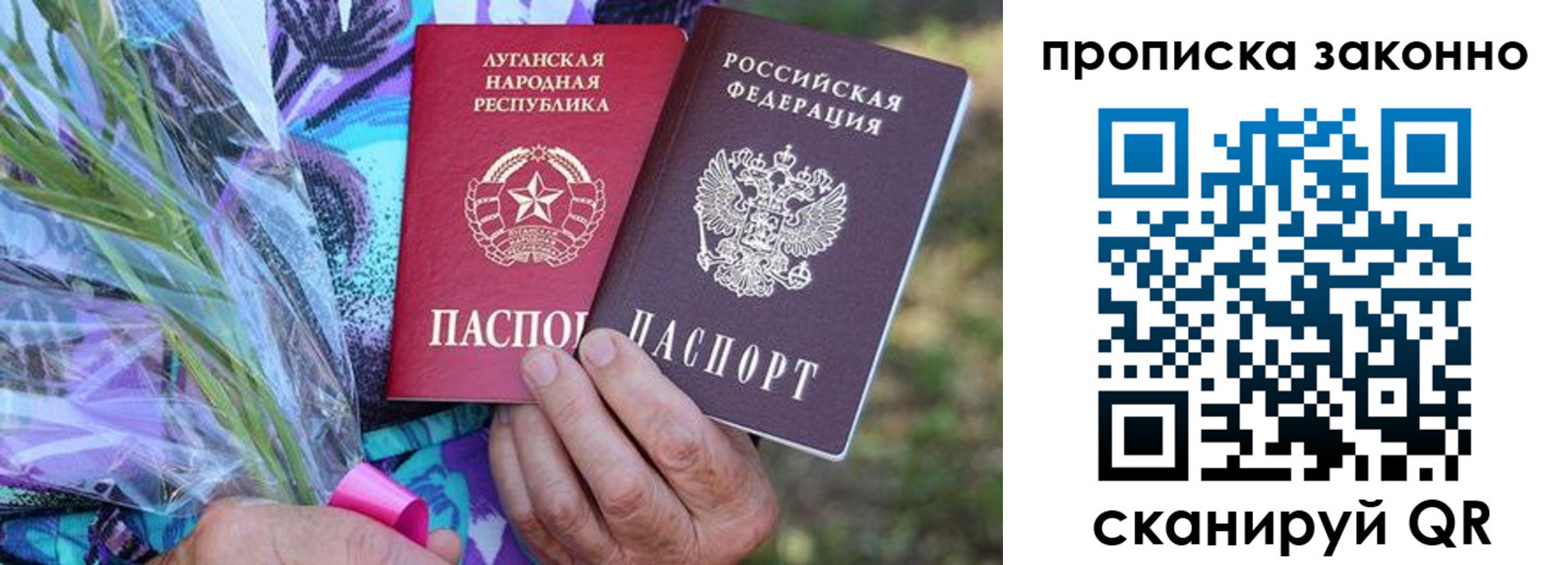 прописка для школы в Лосино-Петровском